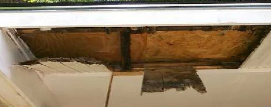 Damaged window frame exposing wood; white paint chipped and peeling.