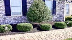 Hardscape Services