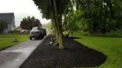 Landscaping Services