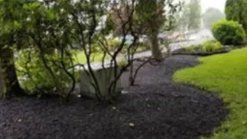 Landscaping Services