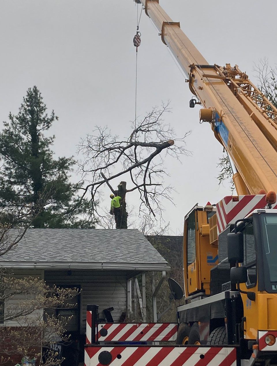 A crane lifts a large tree branch from a roof. A worker wearing a safety vest stands on the roof.