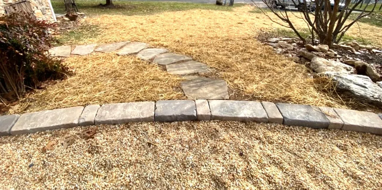 Magnolia Tree & Landscape Specialist Work