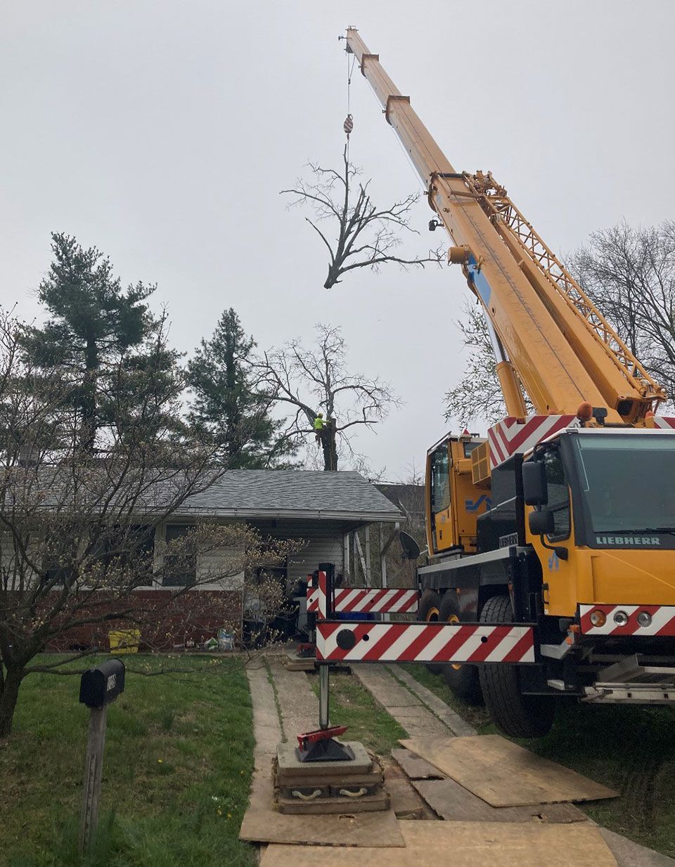 A large yellow crane lifting a bare tree branch over a house with a brick facade on a cloudy day.