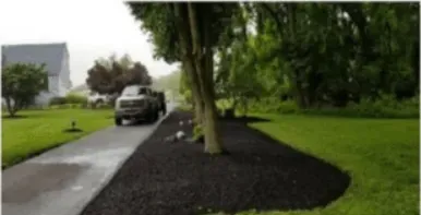 Magnolia Tree & Landscape Specialist Work