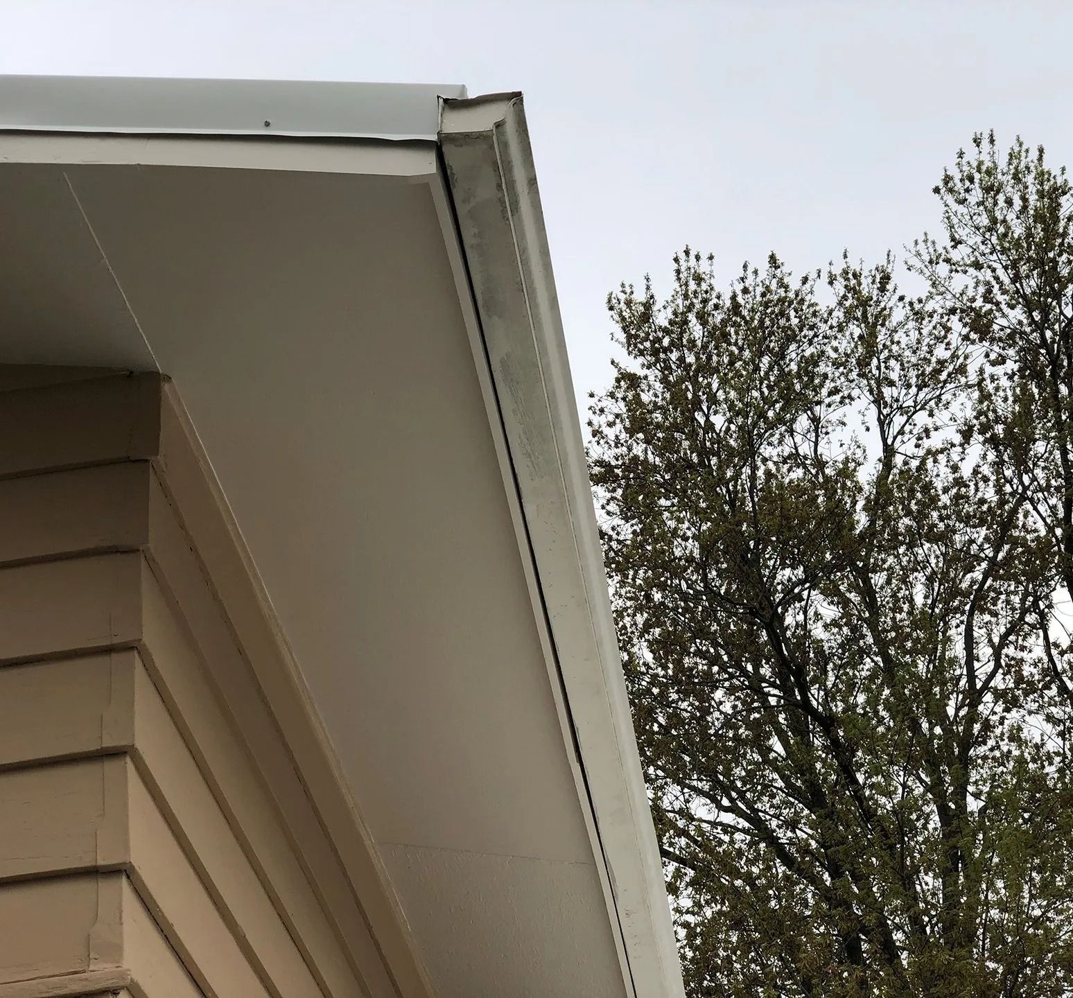 House roof eave and gutter beside a leafy tree against a cloudy sky