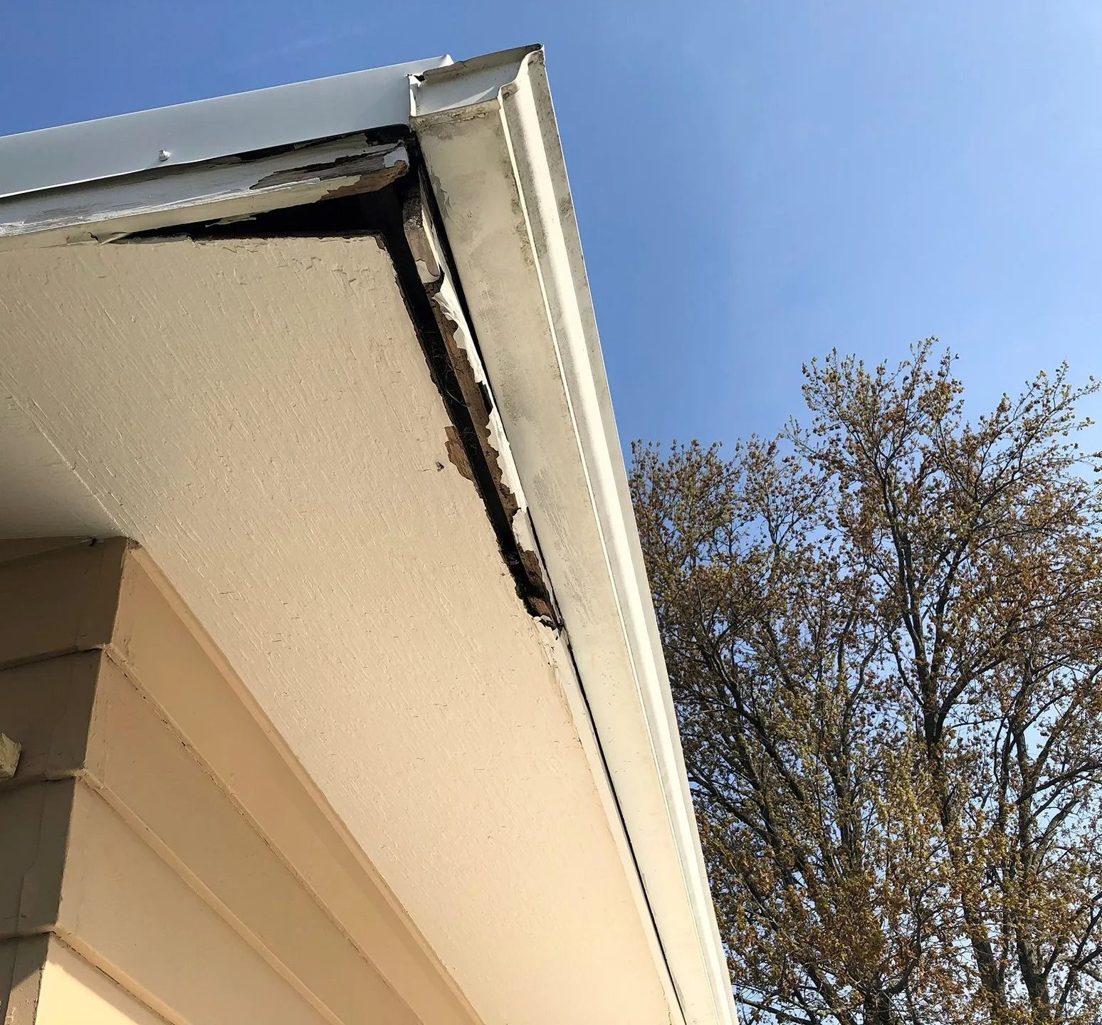 House roof eave and gutter viewed from below against a blue sky and tree branches