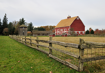 Barn