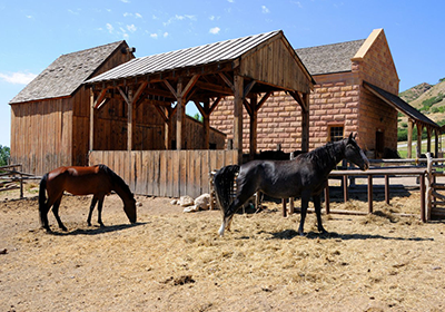 Barn