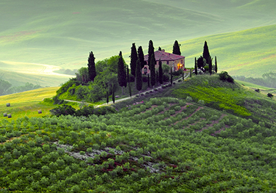 Farm