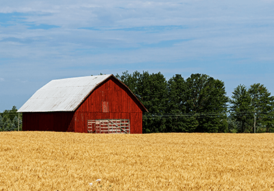 Barn
