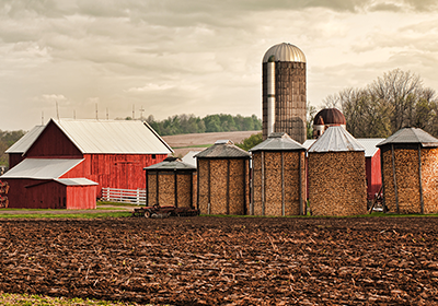 Barn