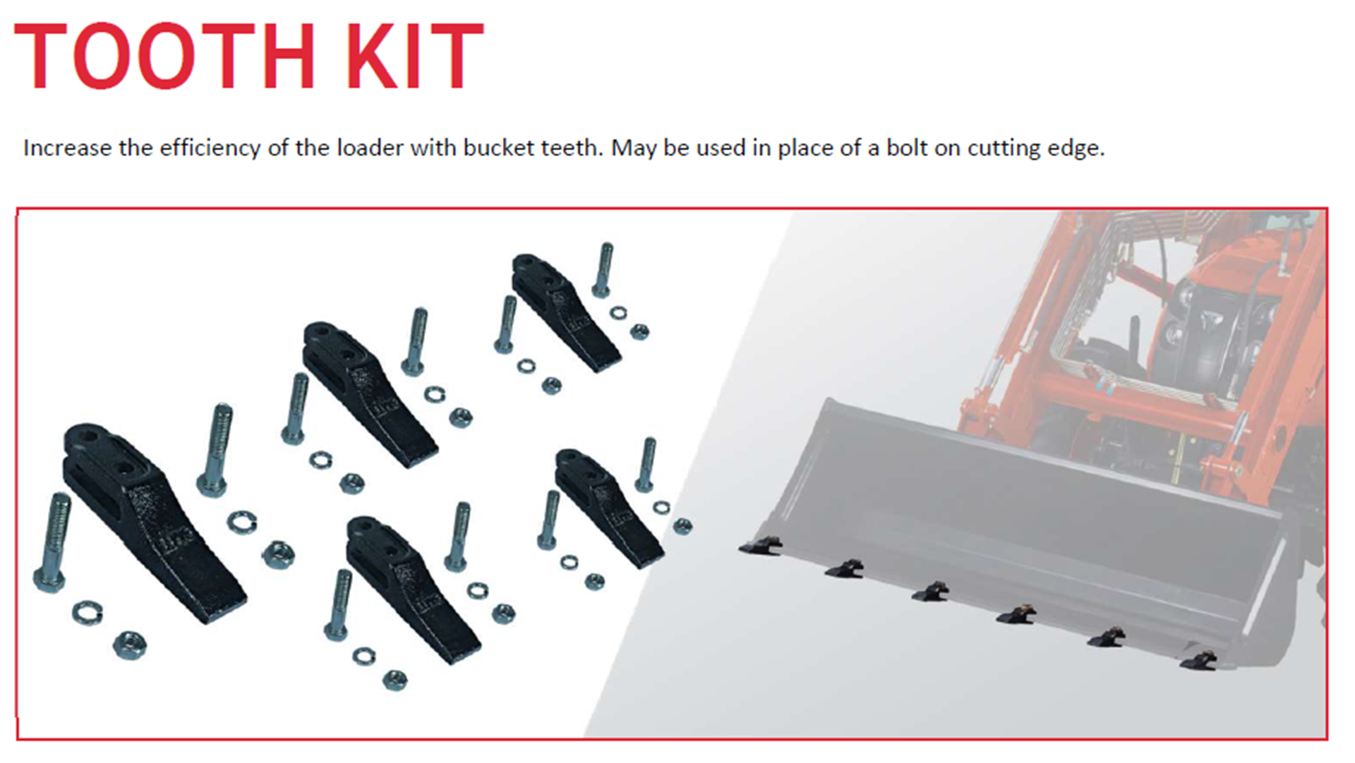 Tooth Kit