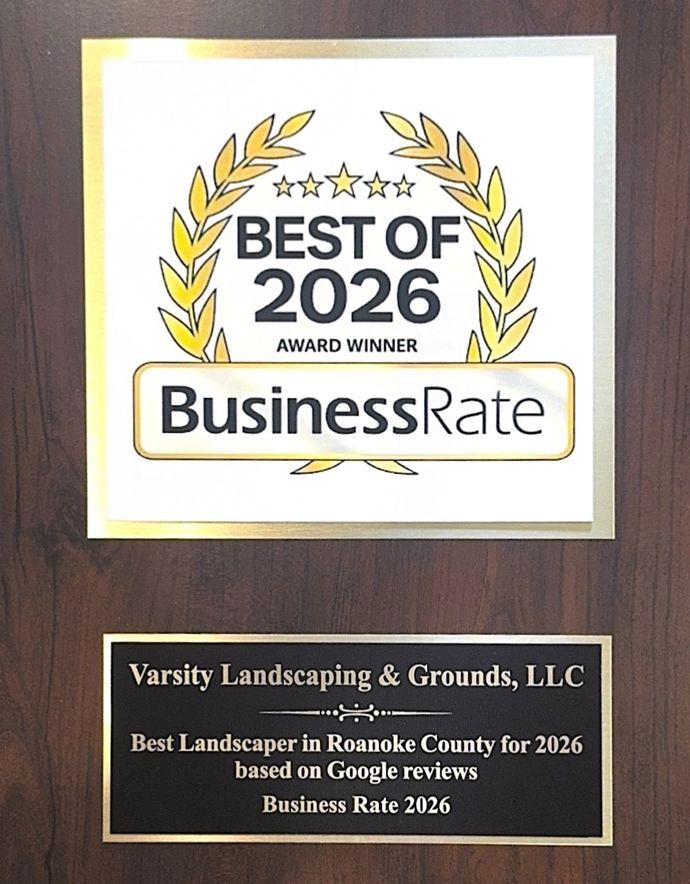 Business Rate Best of 2026 award plaque for Varsity Landscaping & Grounds, LLC on wood background.