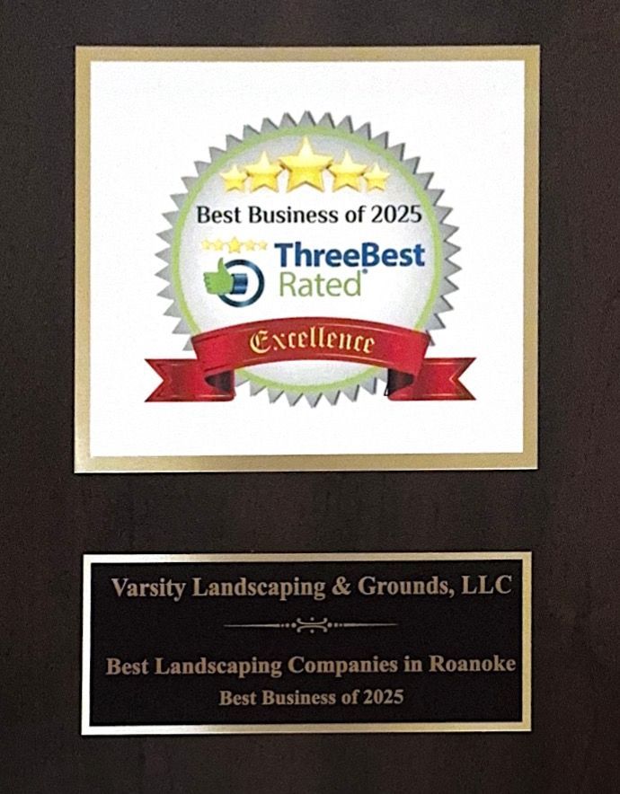 Awards for Best Business of 2025 and Best Landscaping Companies in Roanoke, framed wall plaques.