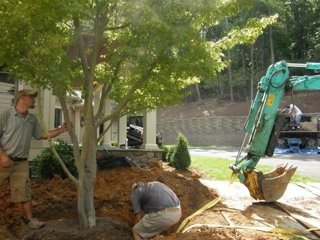 Workers digging near a tree beside a green excavator on a residential lot