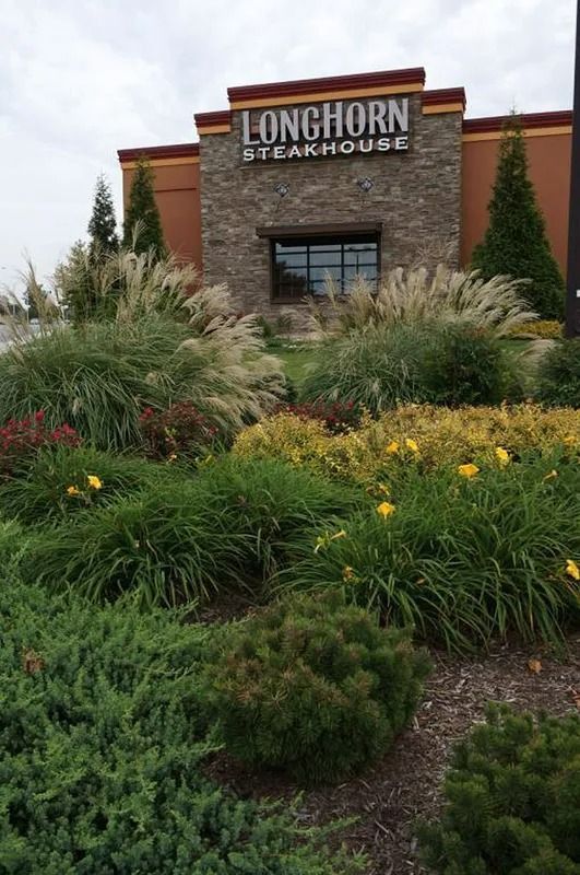 LongHorn Steakhouse storefront with landscaped shrubs and flowers under an overcast sky