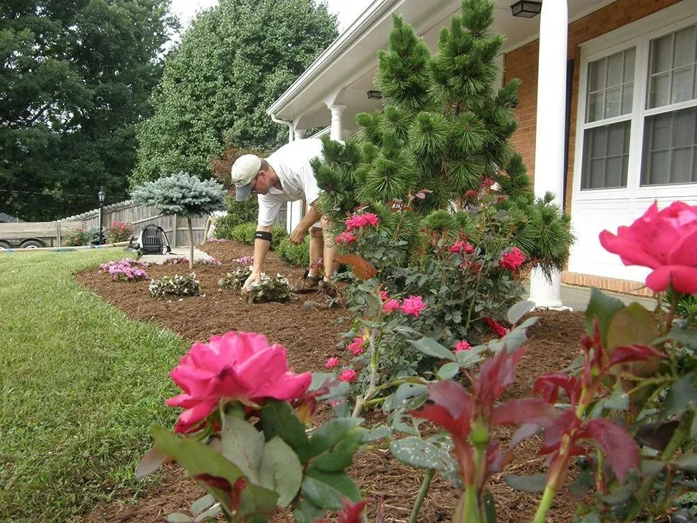 Person gardening beside a house, planting flowers in a landscaped front yard.
