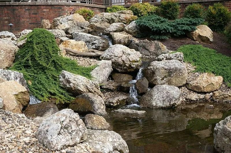 Small landscaped pond with rocks, flowing water, and green plants in a garden