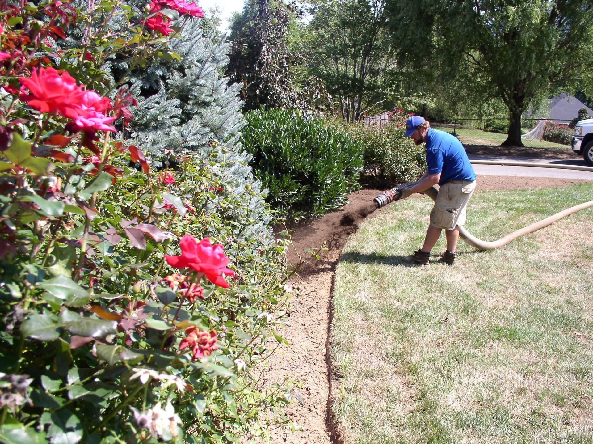 Person watering garden bed beside flowering shrubs and grass with a hose