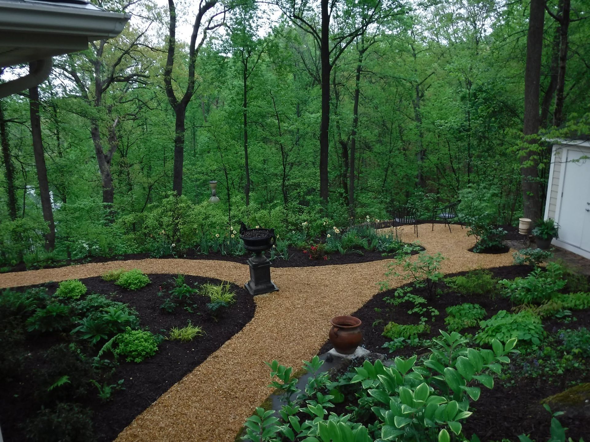 Wooded backyard garden with a winding gravel path, black lamp post, and white shed amid lush green shrubs