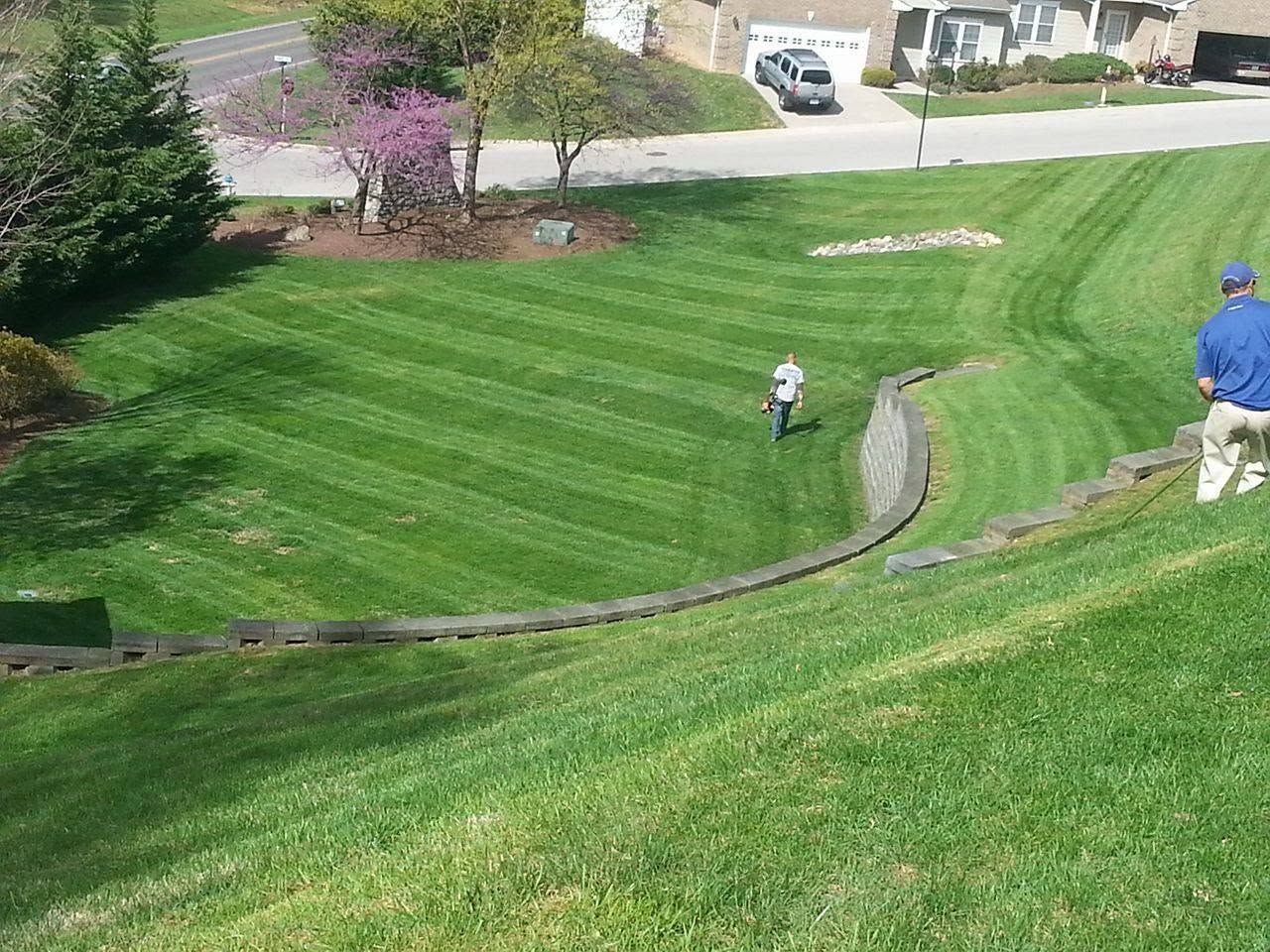 Person mowing a steep, striped green hillside near a road and parked car