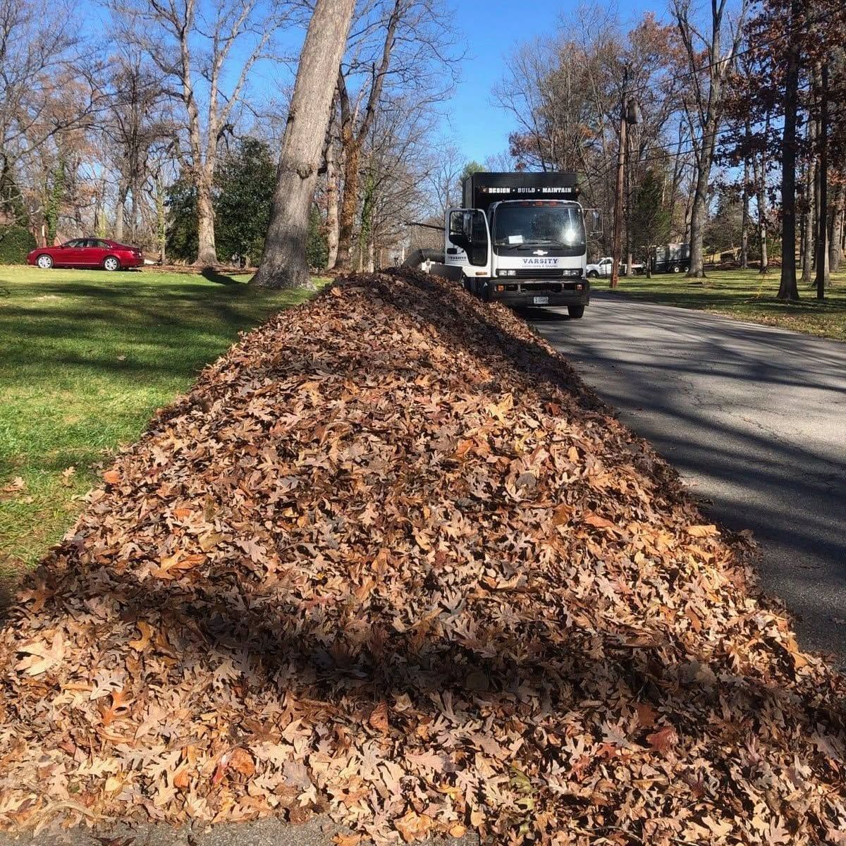 Large pile of fallen leaves beside a road, with a truck and trees in a sunny park.