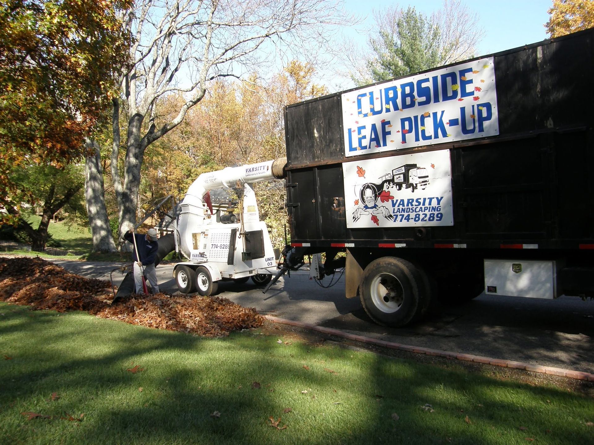 White leaf vacuum truck picking up curbside leaves on a tree-lined suburban street.