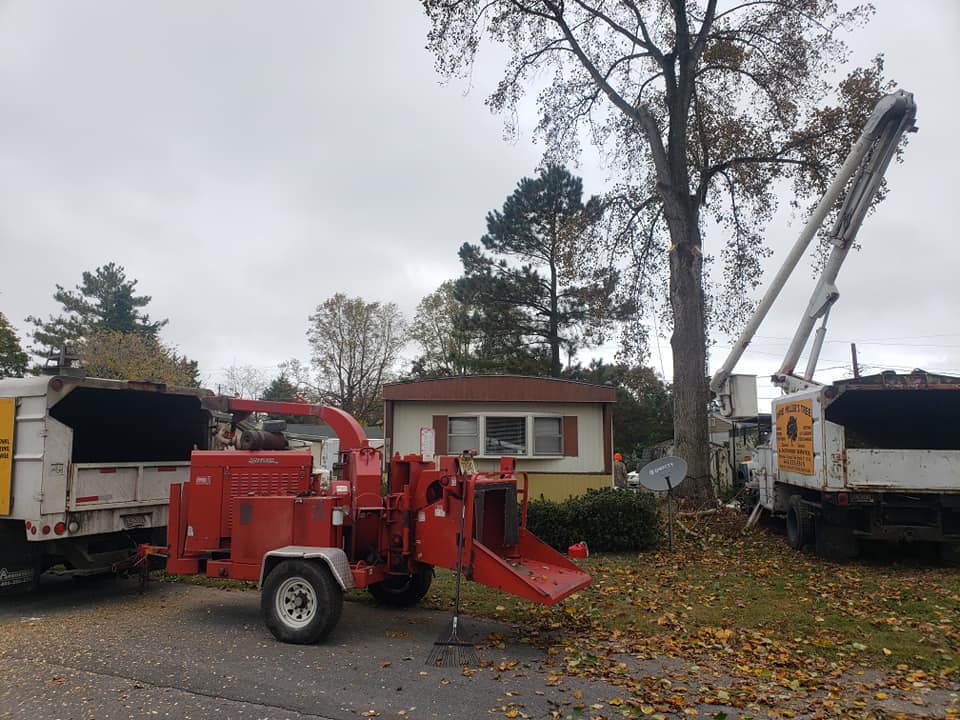 Property maintenance