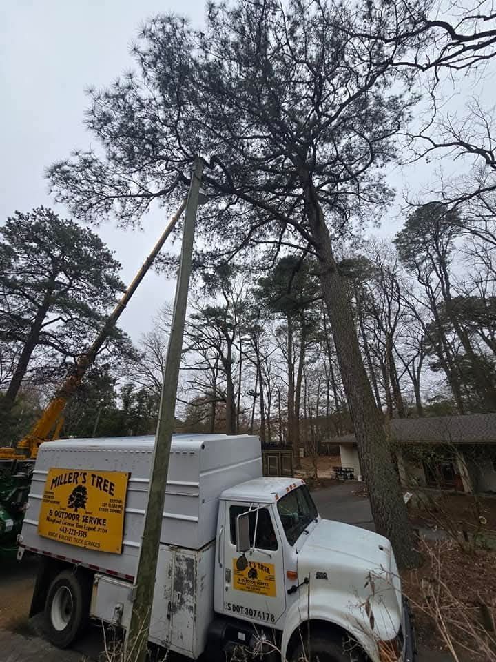 A white truck with a crane attached to it is cutting a tree.