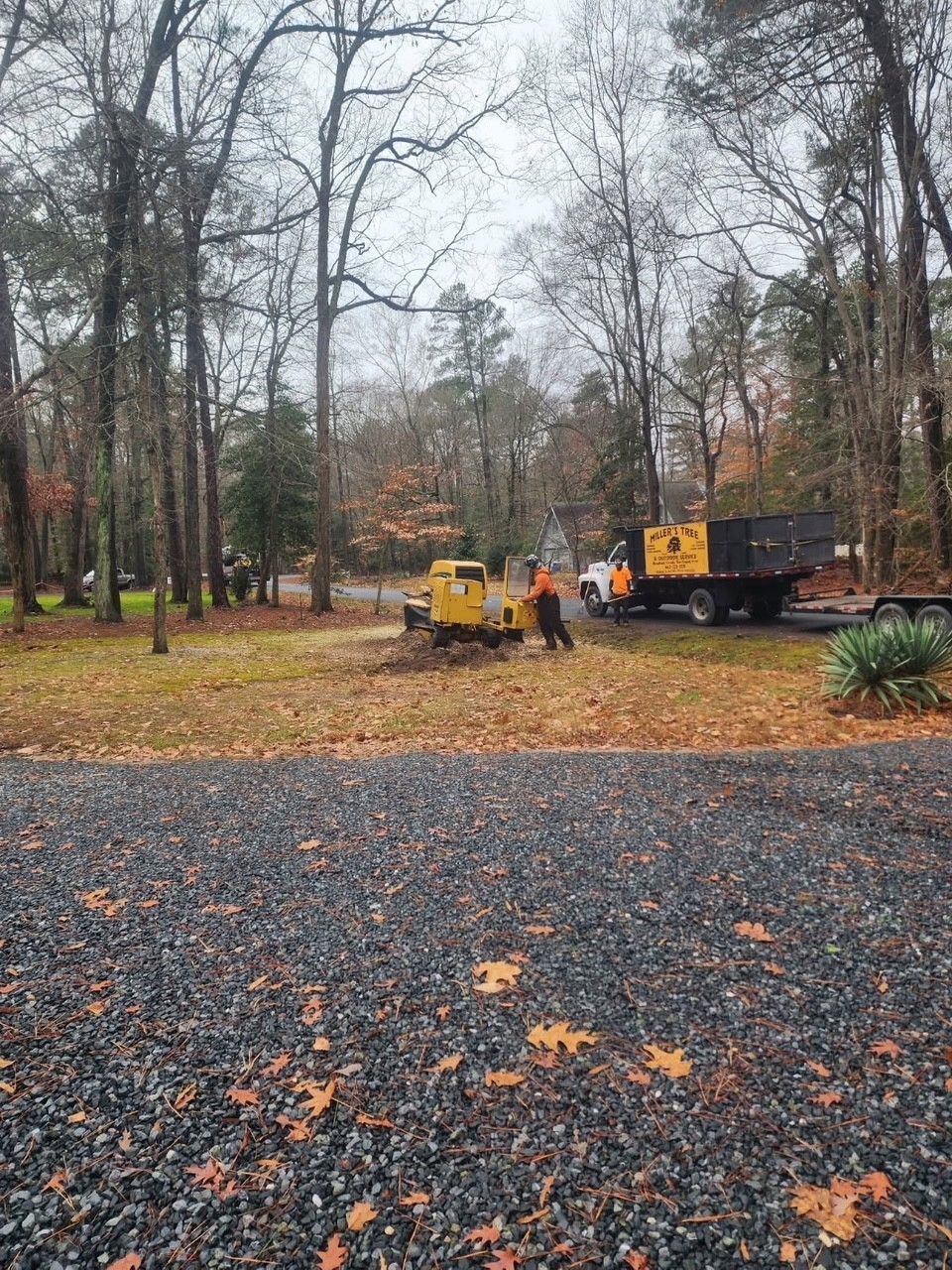 A yellow truck is parked in a driveway next to a tree stump grinder.