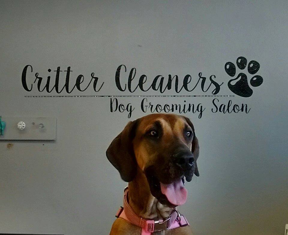 Critter Cleaners Dog Grooming Salon | Boarding Hutchinson