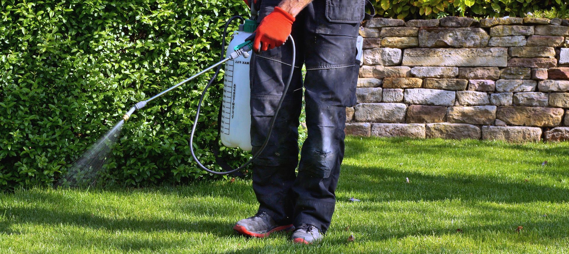 A person spraying the lawn with a pesticide. They wear a dark outfit and orange gloves.