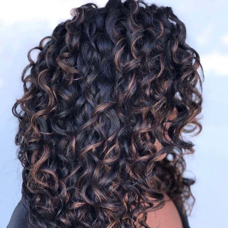 Dark curly hair styled in loose curls with subtle brown highlights against a light background
