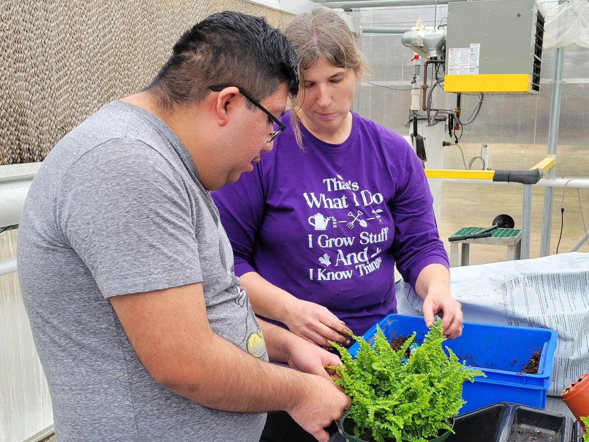 Horticultural therapy