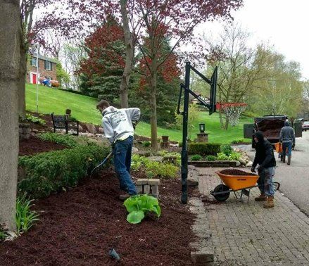 Landscape maintenance