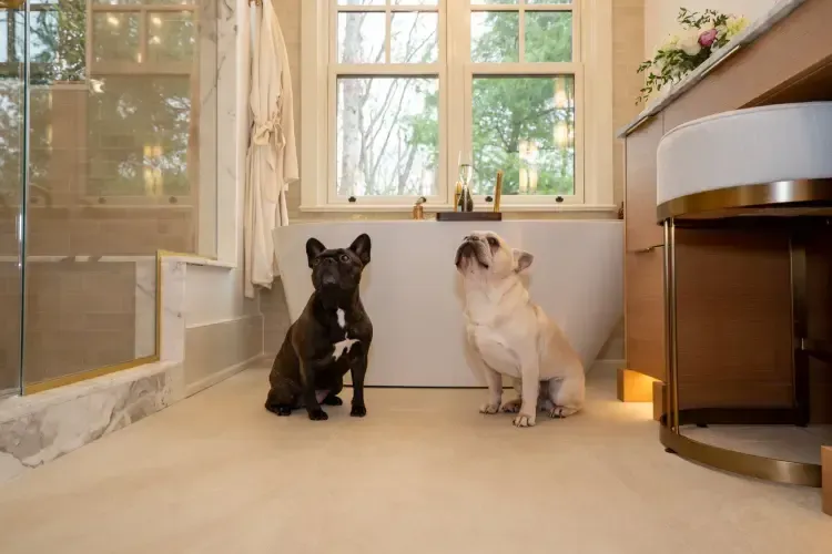 Two dogs sitting on a beige bathroom floor beside a soaking tub and window.