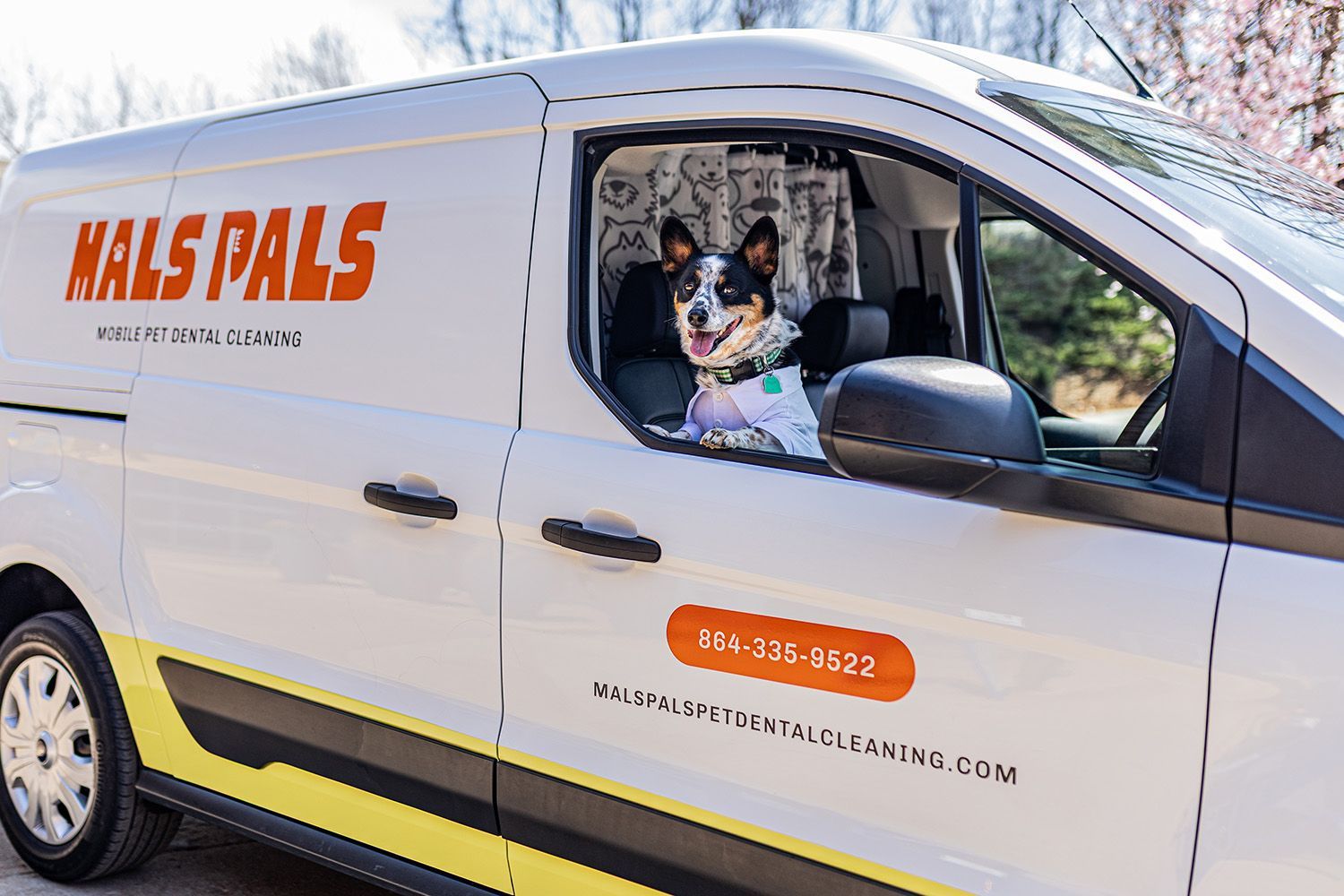 Dog in a white van with 