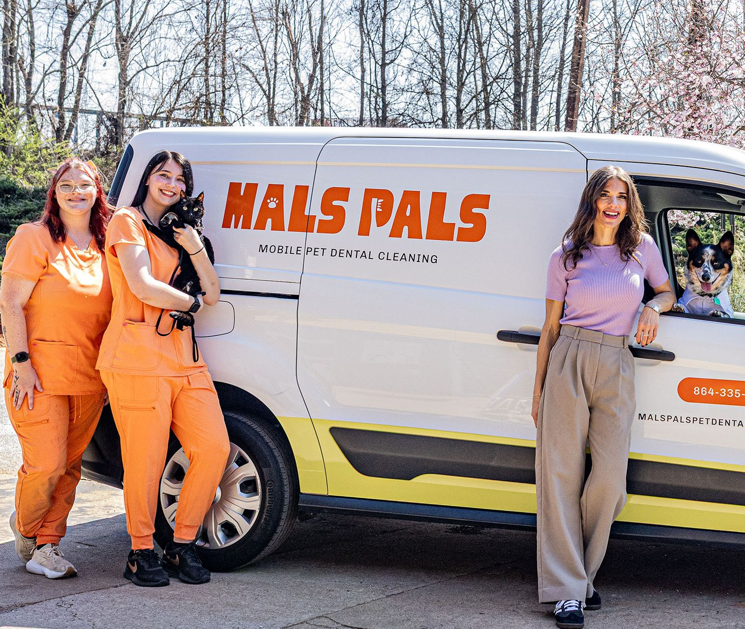 MalsPals Pet Dental Cleaning