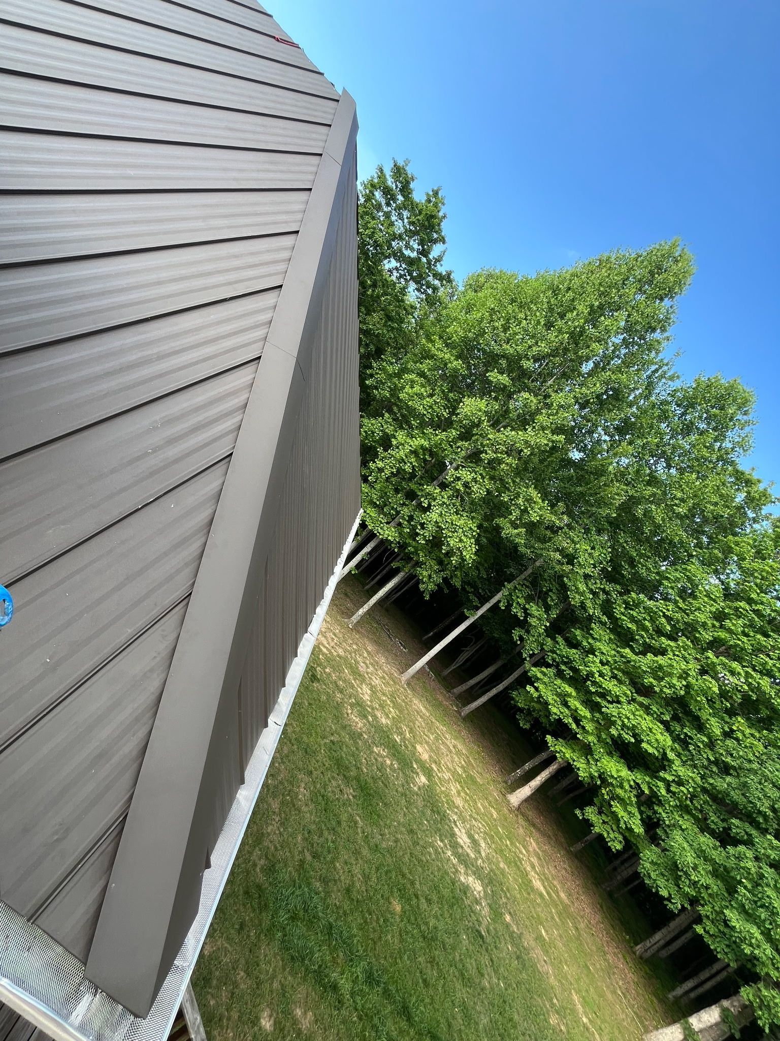 Tilted view of a gray house wall beside a grassy yard and green trees on a sunny day