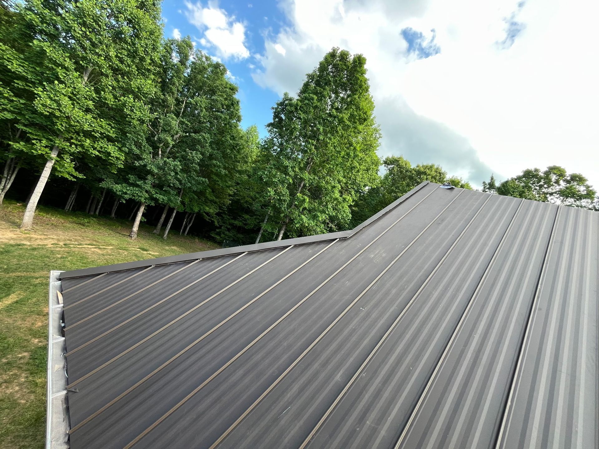 Gray metal roof beside green trees under a bright blue sky