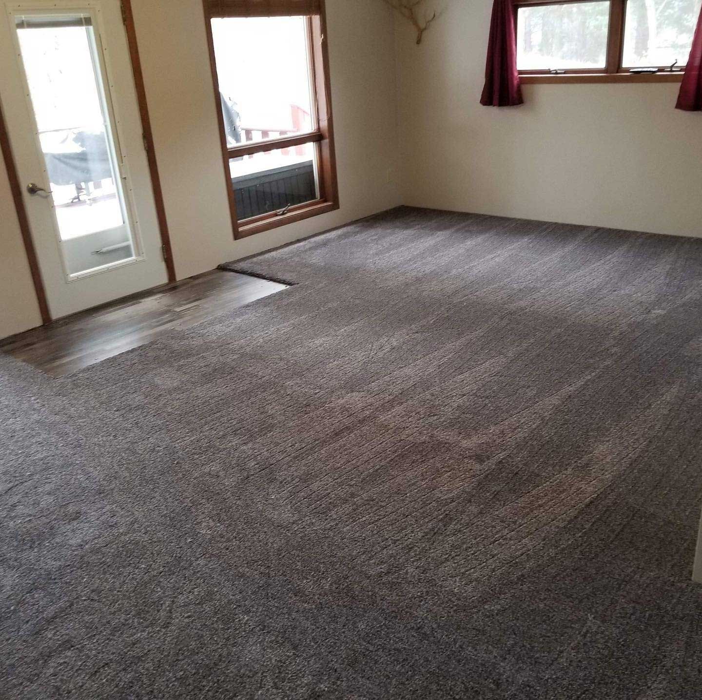 Empty room with gray carpet, door and windows.