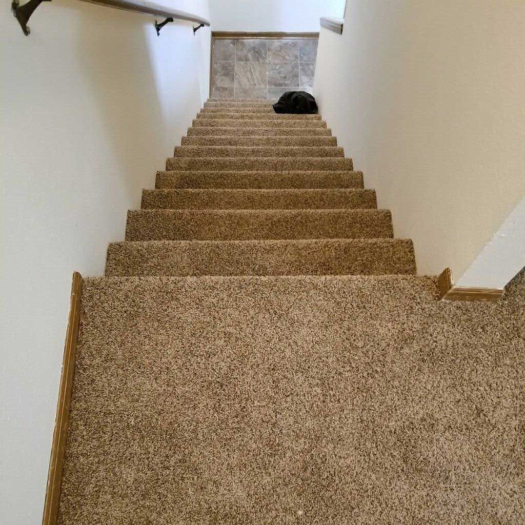Staircase with brown carpet, ascending into a black cat, white walls. Handrail visible on the left.