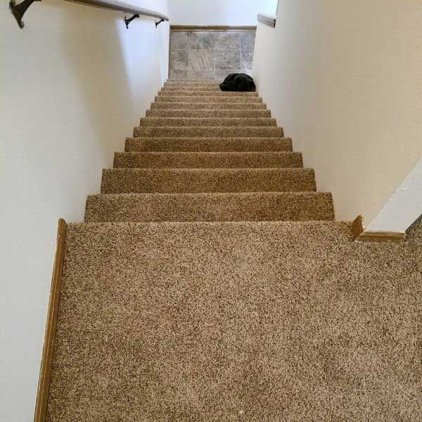 Staircase with brown carpet and a dark-colored cat resting at the top. Handrail is on the left side.
