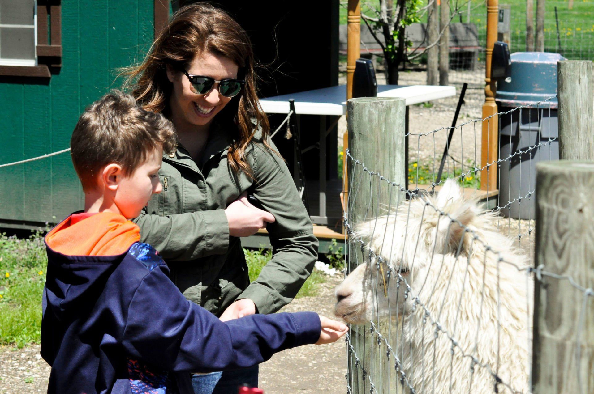 Petting zoo with woman and boy