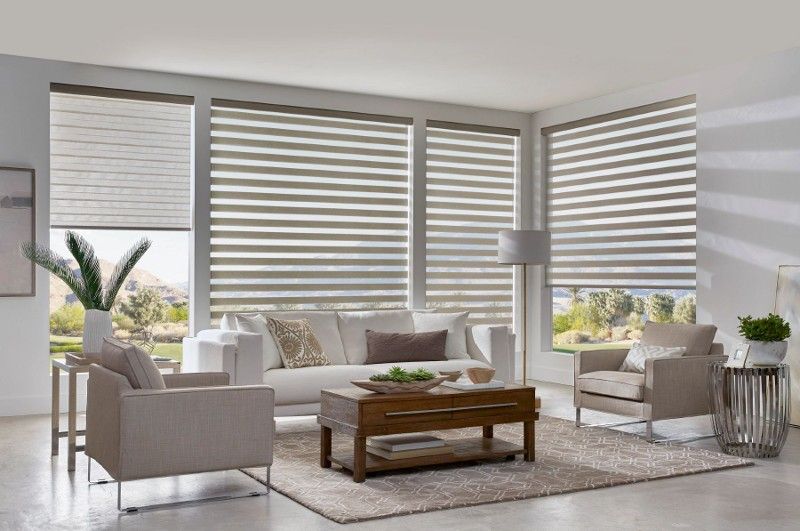 banded zebra sheer shades installed in living room for modern light control and style