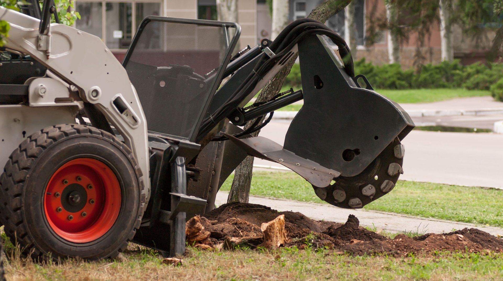 Stump removal