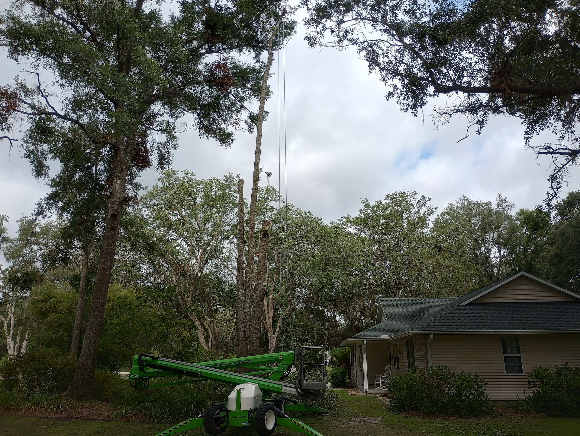 Tree being trimmed by a green lift next to a house with a dark green roof. Overcast sky.