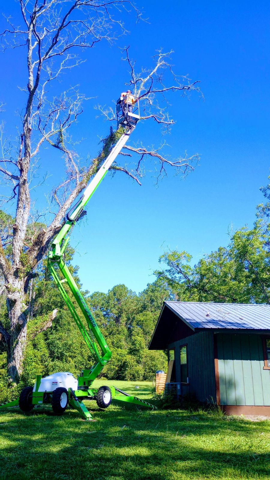 Green lift truck trimming tree branches person in bucket, blue sky background.