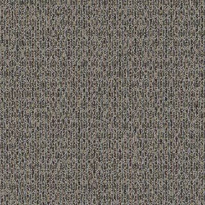 Gray static noise pattern filling the entire frame