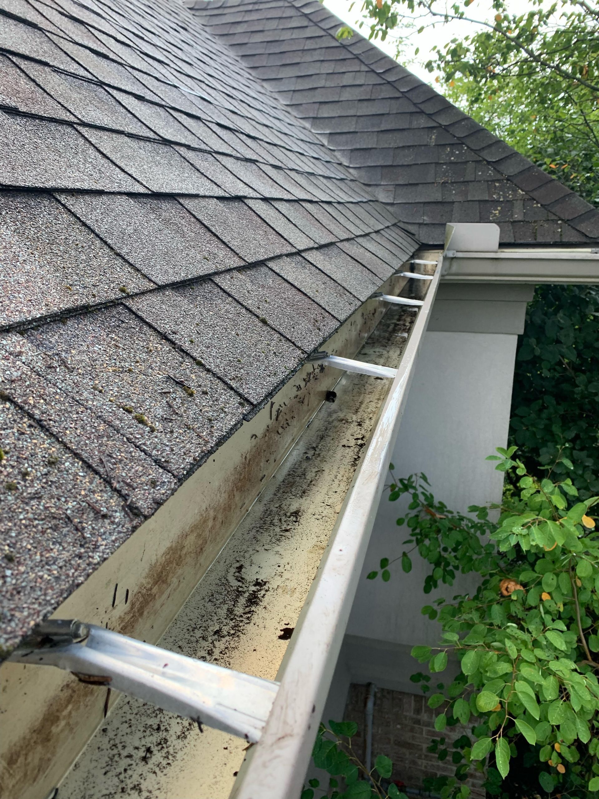A gutter on the side of a house with a roof in the background.